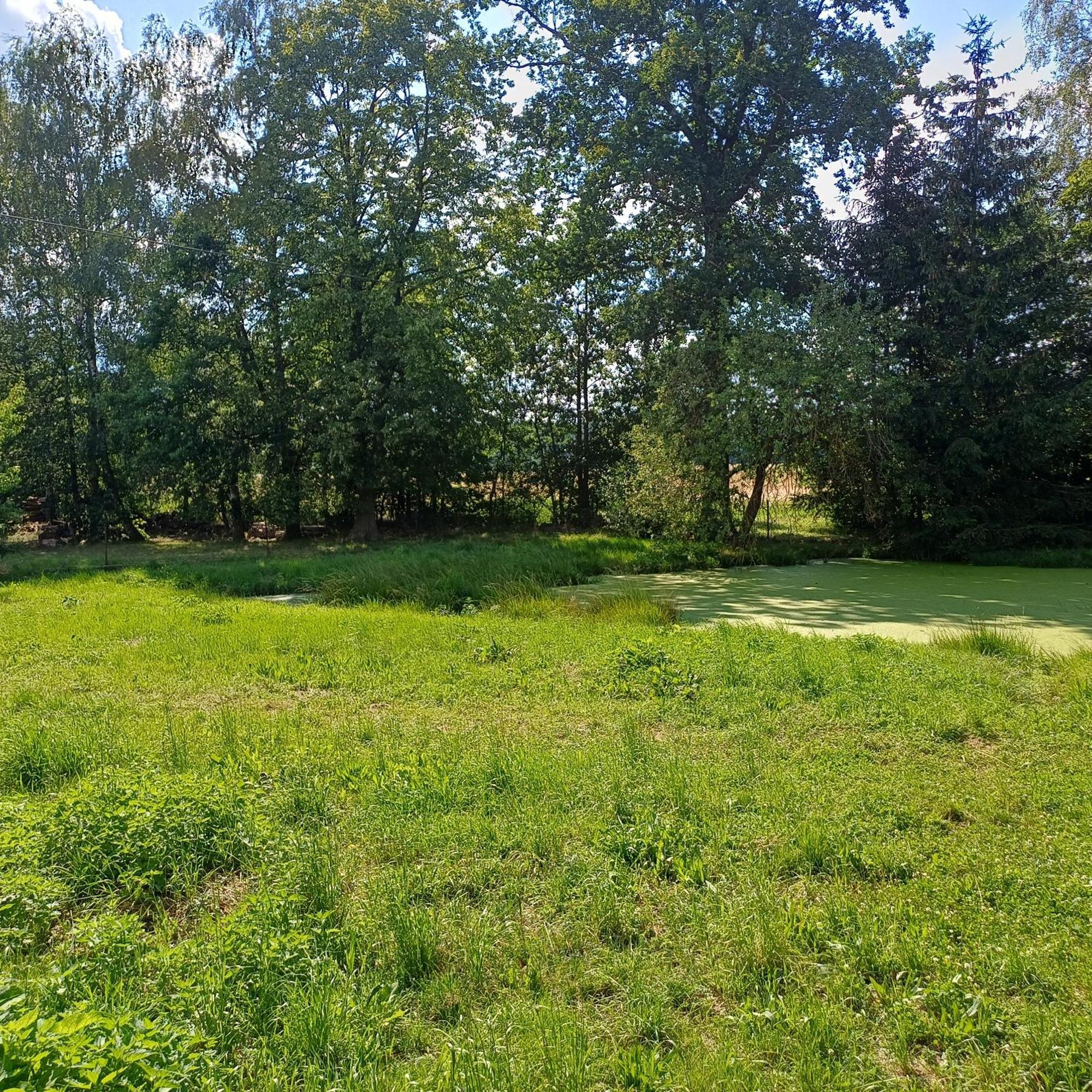Apartamento Statek U Spulaka Lomnice nad Lužnicí Exterior foto
