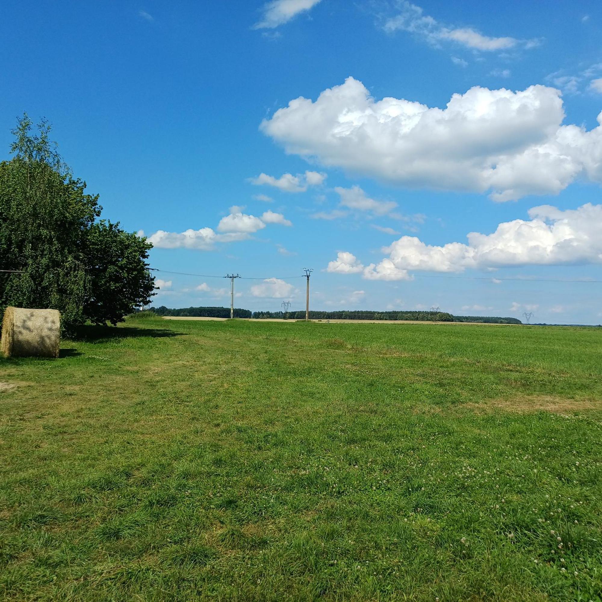 Apartamento Statek U Spulaka Lomnice nad Lužnicí Exterior foto