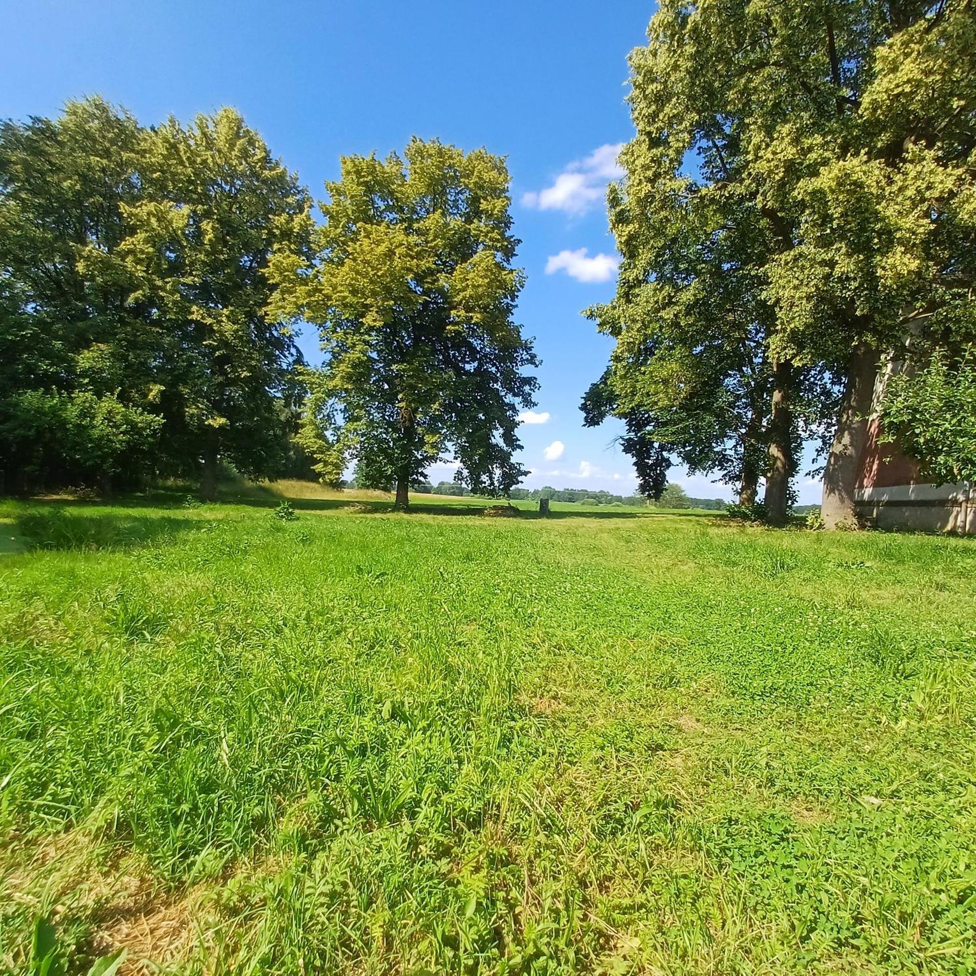 Apartamento Statek U Spulaka Lomnice nad Lužnicí Exterior foto